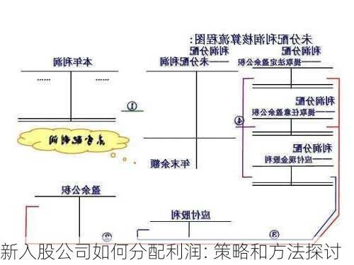 新入股公司如何分配利润: 策略和方法探讨