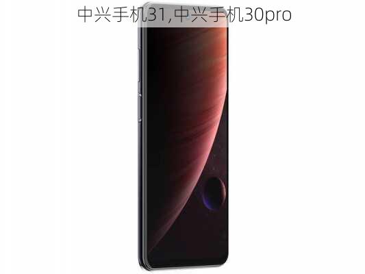 中兴手机31,中兴手机30pro