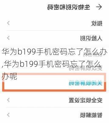 华为b199手机密码忘了怎么办,华为b199手机密码忘了怎么办呢