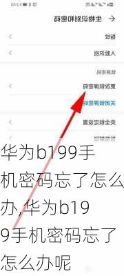 华为b199手机密码忘了怎么办,华为b199手机密码忘了怎么办呢