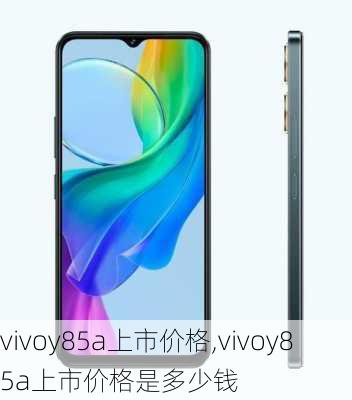 vivoy85a上市价格,vivoy85a上市价格是多少钱