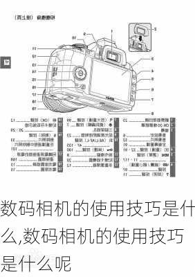 数码相机的使用技巧是什么,数码相机的使用技巧是什么呢