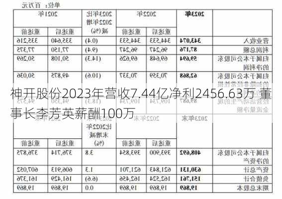 神开股份2023年营收7.44亿净利2456.63万 董事长李芳英薪酬100万