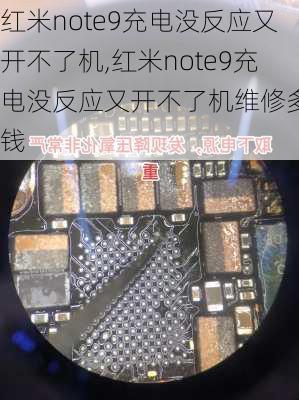 红米note9充电没反应又开不了机,红米note9充电没反应又开不了机维修多少钱