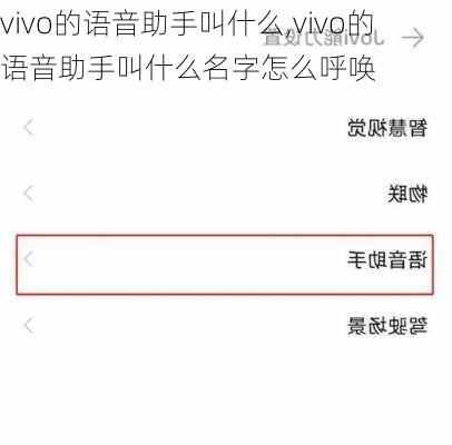 vivo的语音助手叫什么,vivo的语音助手叫什么名字怎么呼唤