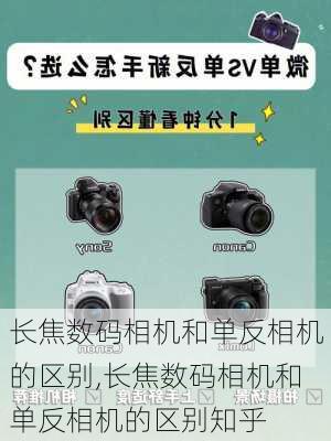 长焦数码相机和单反相机的区别,长焦数码相机和单反相机的区别知乎