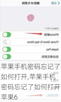 苹果手机密码忘记了如何打开,苹果手机密码忘记了如何打开苹果6