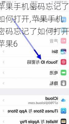 苹果手机密码忘记了如何打开,苹果手机密码忘记了如何打开苹果6