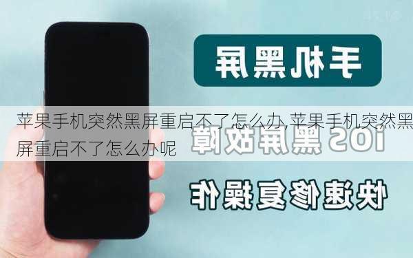 苹果手机突然黑屏重启不了怎么办,苹果手机突然黑屏重启不了怎么办呢