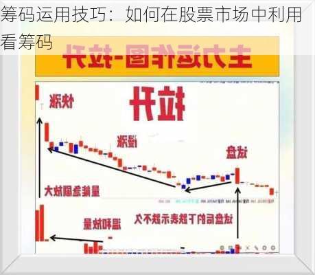 筹码运用技巧：如何在股票市场中利用看筹码