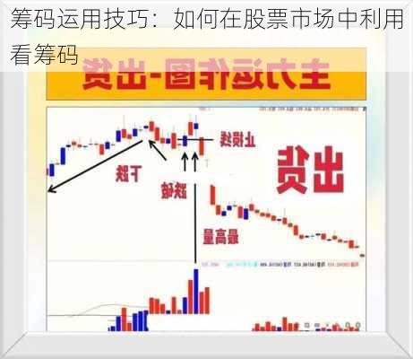 筹码运用技巧：如何在股票市场中利用看筹码