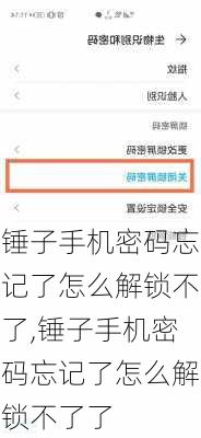 锤子手机密码忘记了怎么解锁不了,锤子手机密码忘记了怎么解锁不了了