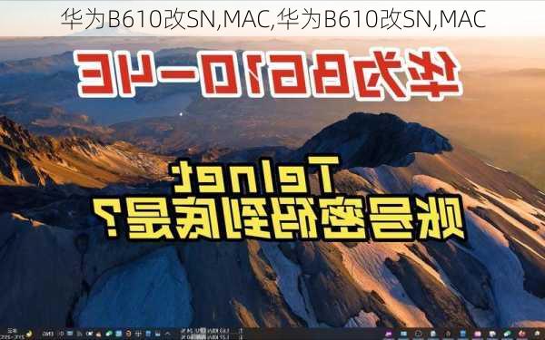 华为B610改SN,MAC,华为B610改SN,MAC