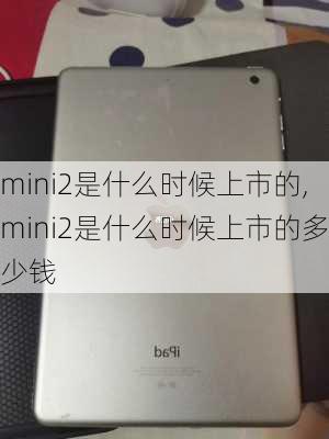 mini2是什么时候上市的,mini2是什么时候上市的多少钱