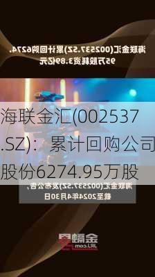 海联金汇(002537.SZ)：累计回购公司股份6274.95万股