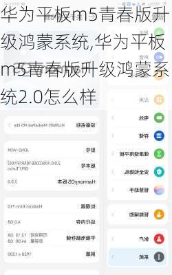 华为平板m5青春版升级鸿蒙系统,华为平板m5青春版升级鸿蒙系统2.0怎么样