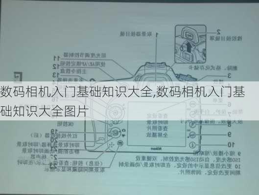 数码相机入门基础知识大全,数码相机入门基础知识大全图片