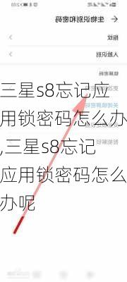 三星s8忘记应用锁密码怎么办,三星s8忘记应用锁密码怎么办呢