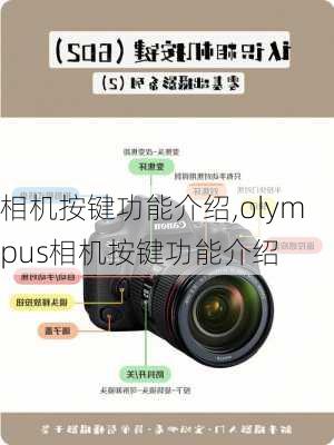 相机按键功能介绍,olympus相机按键功能介绍