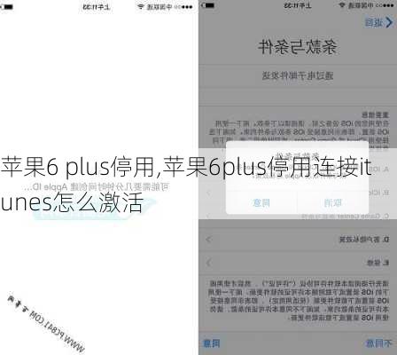 苹果6 plus停用,苹果6plus停用连接itunes怎么激活