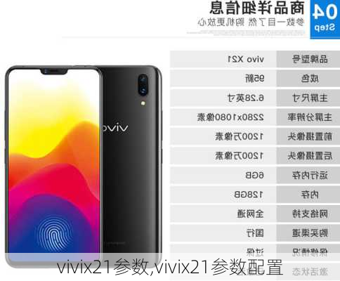 vivix21参数,vivix21参数配置