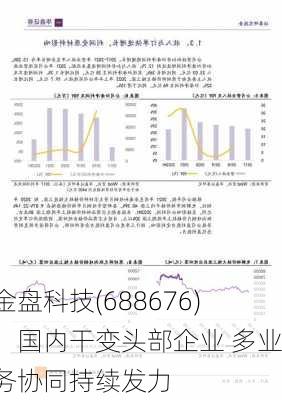 金盘科技(688676)：国内干变头部企业 多业务协同持续发力