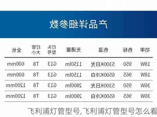 飞利浦灯管型号,飞利浦灯管型号怎么看