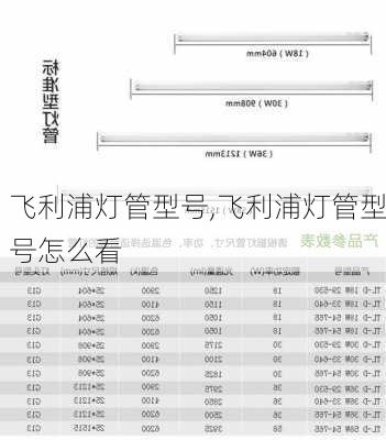 飞利浦灯管型号,飞利浦灯管型号怎么看