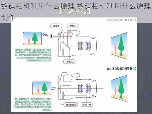 数码相机利用什么原理,数码相机利用什么原理制作