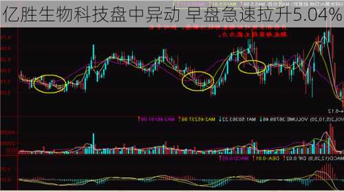 亿胜生物科技盘中异动 早盘急速拉升5.04%