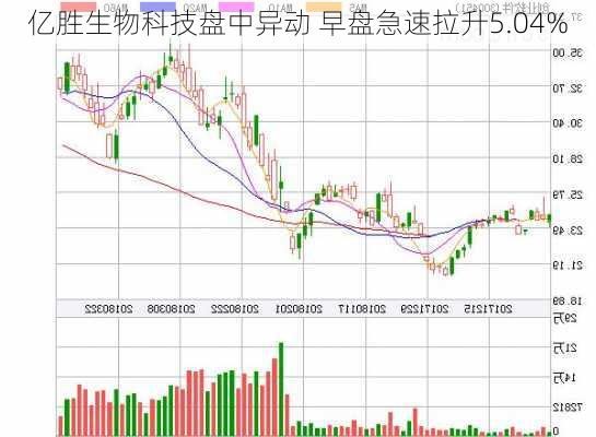 亿胜生物科技盘中异动 早盘急速拉升5.04%