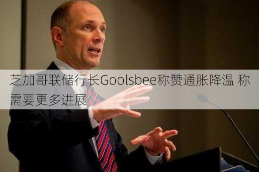 芝加哥联储行长Goolsbee称赞通胀降温 称需要更多进展