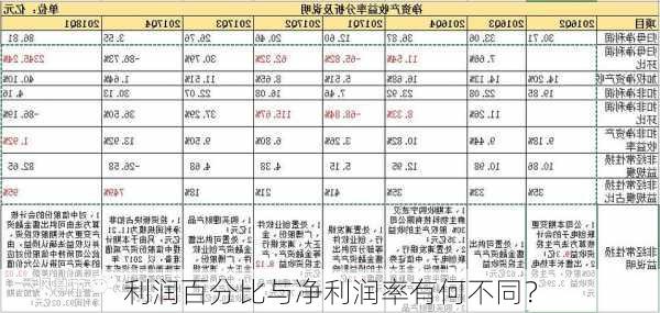 利润百分比与净利润率有何不同？