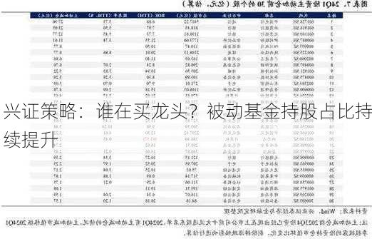 兴证策略：谁在买龙头？被动基金持股占比持续提升