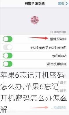 苹果6忘记开机密码怎么办,苹果6忘记开机密码怎么办怎么解