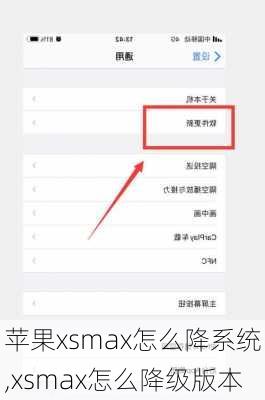 苹果xsmax怎么降系统,xsmax怎么降级版本