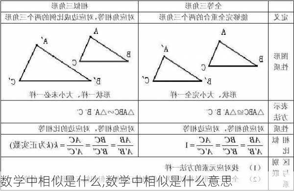 数学中相似是什么,数学中相似是什么意思