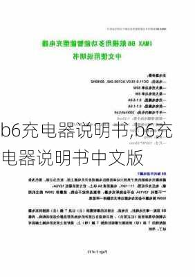 b6充电器说明书,b6充电器说明书中文版