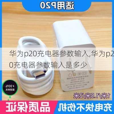 华为p20充电器参数输入,华为p20充电器参数输入是多少