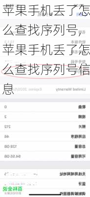 苹果手机丢了怎么查找序列号,苹果手机丢了怎么查找序列号信息