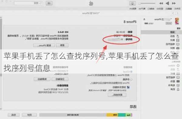 苹果手机丢了怎么查找序列号,苹果手机丢了怎么查找序列号信息