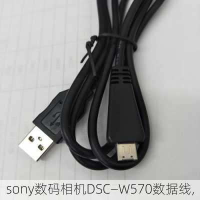 sony数码相机DSC—W570数据线,