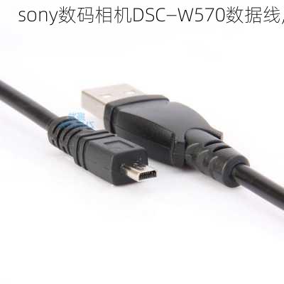 sony数码相机DSC—W570数据线,