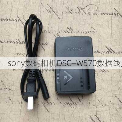 sony数码相机DSC—W570数据线,