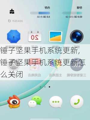 锤子坚果手机系统更新,锤子坚果手机系统更新怎么关闭