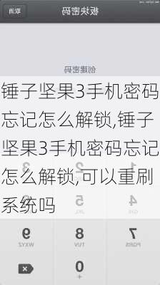 锤子坚果3手机密码忘记怎么解锁,锤子坚果3手机密码忘记怎么解锁,可以重刷系统吗