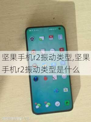 坚果手机r2振动类型,坚果手机r2振动类型是什么