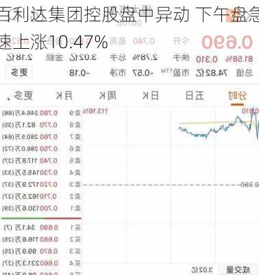 百利达集团控股盘中异动 下午盘急速上涨10.47%