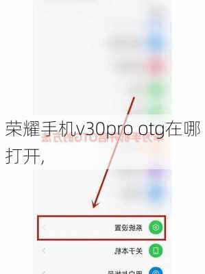 荣耀手机v30pro otg在哪打开,