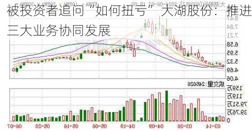 被投资者追问“如何扭亏” 大湖股份：推进三大业务协同发展